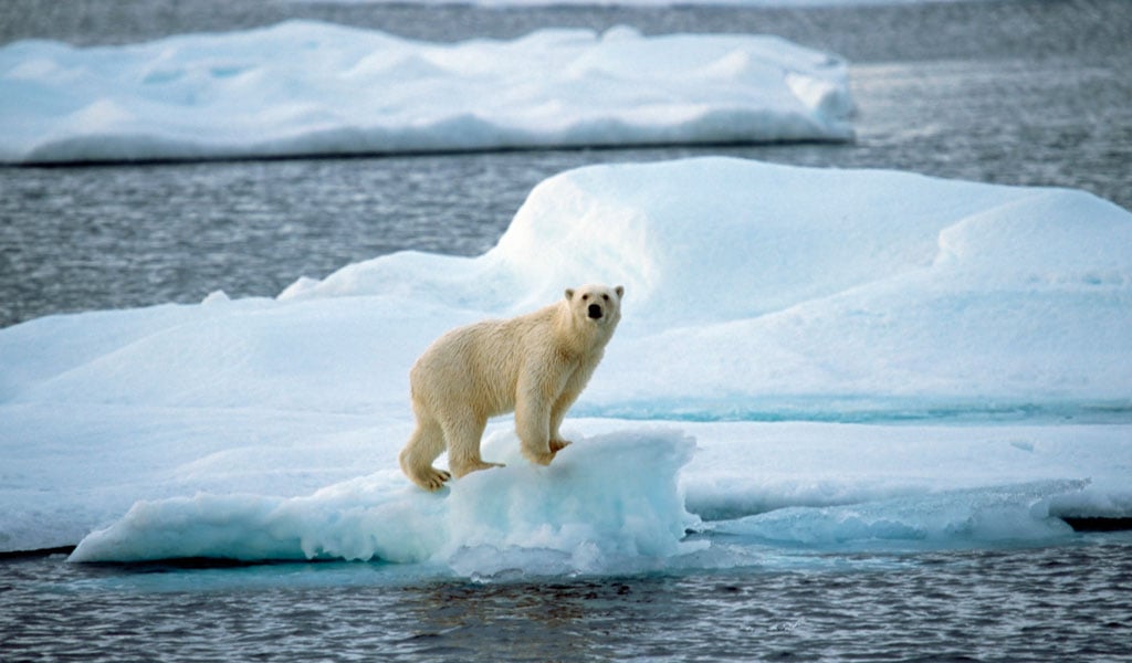 melting ice caps