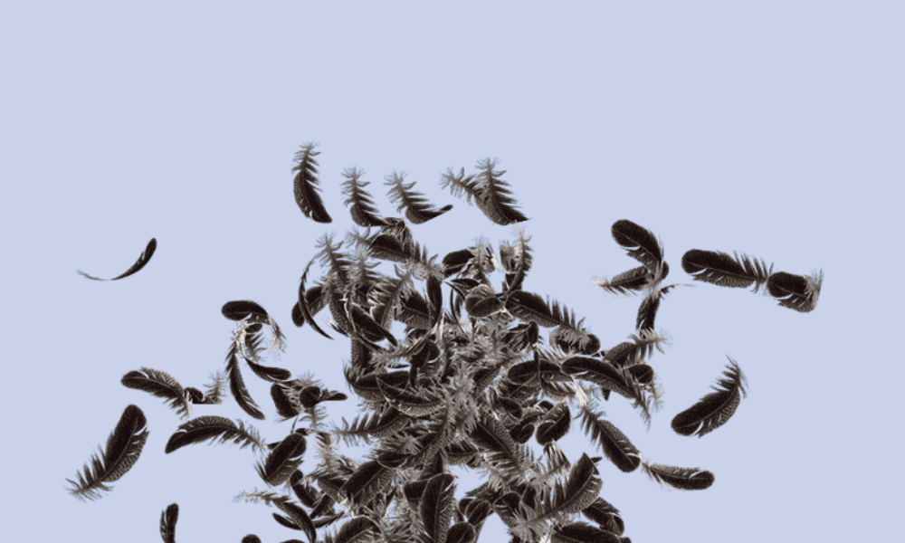 Could chicken feathers be used to power cars