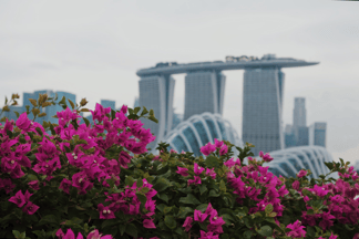 Marina Bay Sands Singapore infront of flowers