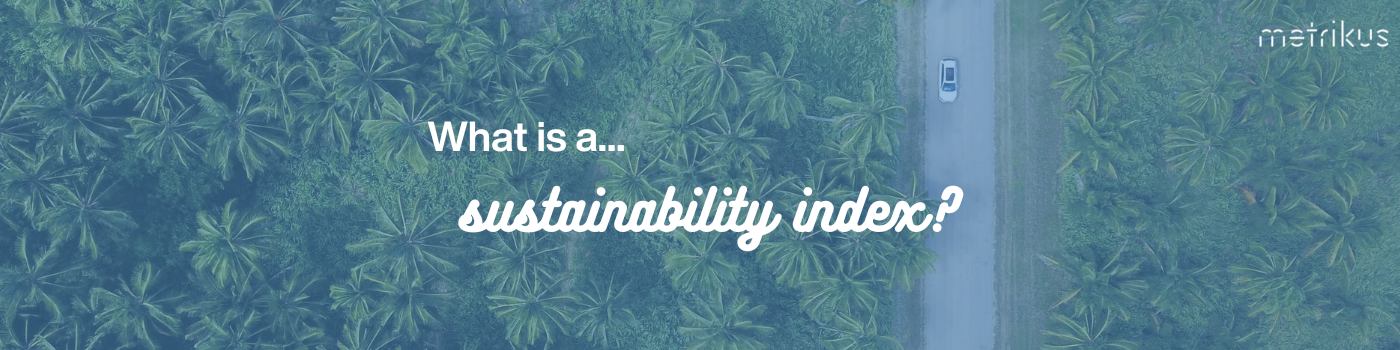 What is a sustainability index and why are they important?