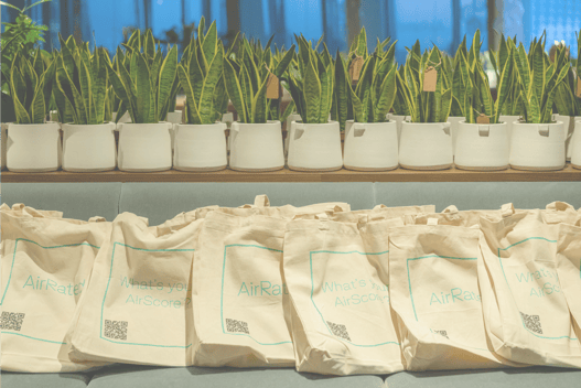 AirRated bags with snake plants