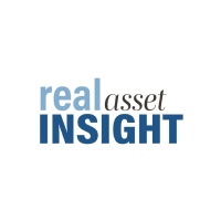 real asset insight logo